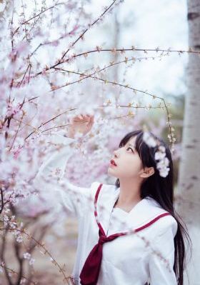 在线看电影网站